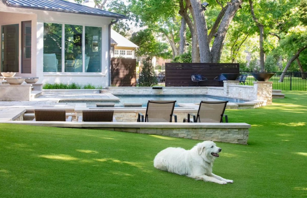 Beautiful backyard with artificial grass, pool, and dog
